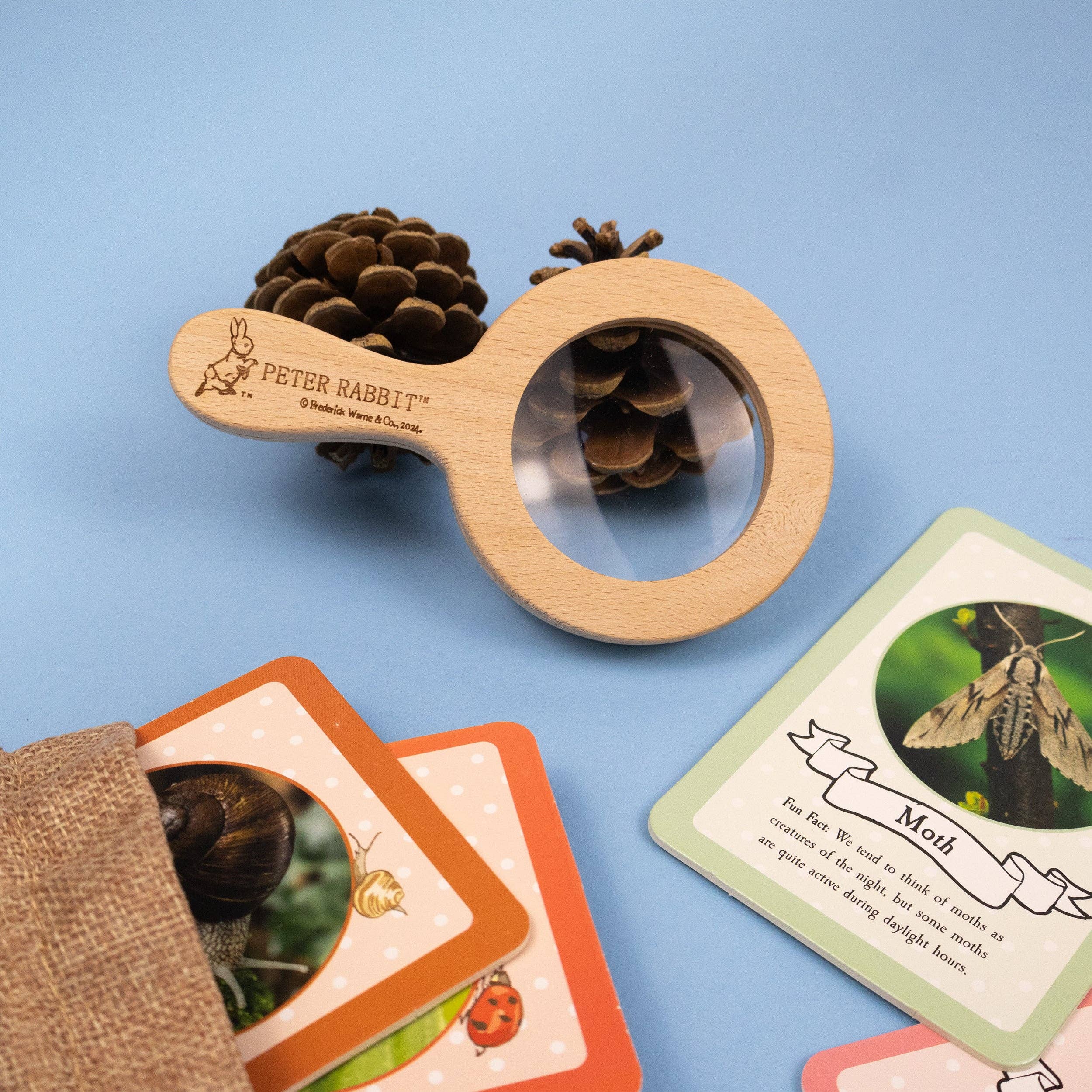 Robert Frederick Ltd – wholesale Toy set – Kids – Peter Rabbit Bug Spotter Activity Set7