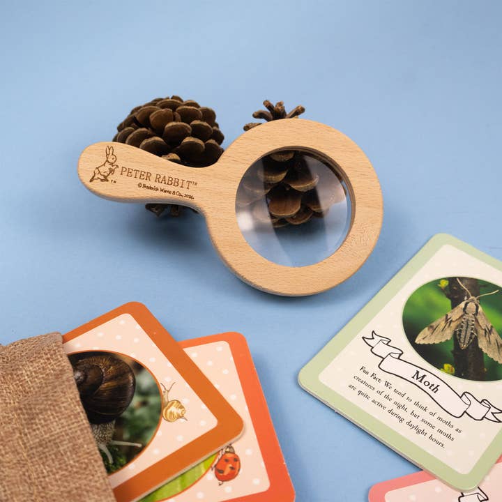 Robert Frederick Ltd - Wholesale Toy set – Kids - Peter Rabbit Bug Spotter Activity Set7