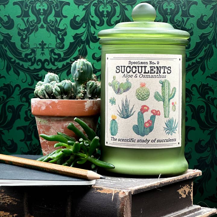 Succulentes (Spécimen n° 9) pour la vente par Herbal Apothecary