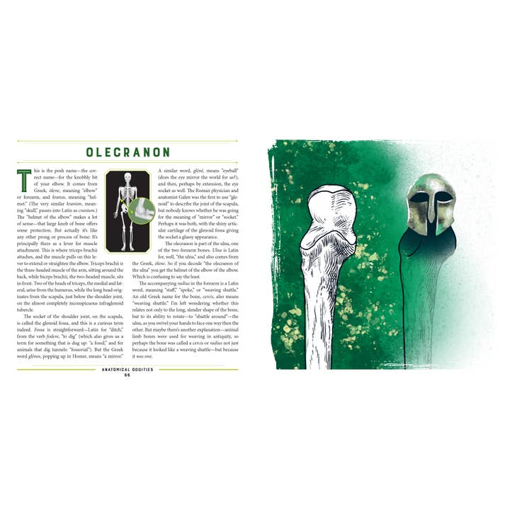 W. W. Norton - Wholesale Science & Math - Anatomical Oddities4