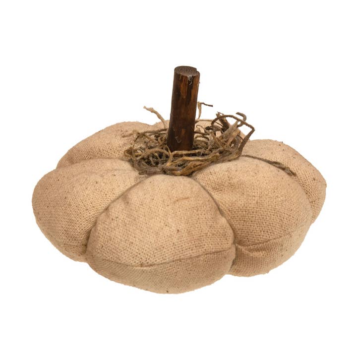 Mossy Natürlicher Kürbis 4,5" für den Großhandel von The Hearthside Collection