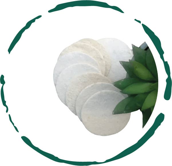 BeNat – Großhandel Luffa-Schwamm – Natürliche Luffa-Schwamm-Pads 5-tlg