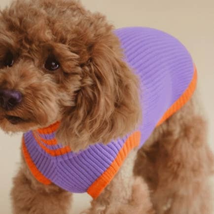 THE GLOW JUMPER 2.0 - Neon Hundepullover - (Poppy Lavender) für den Großhandel von lumiies - high visibility