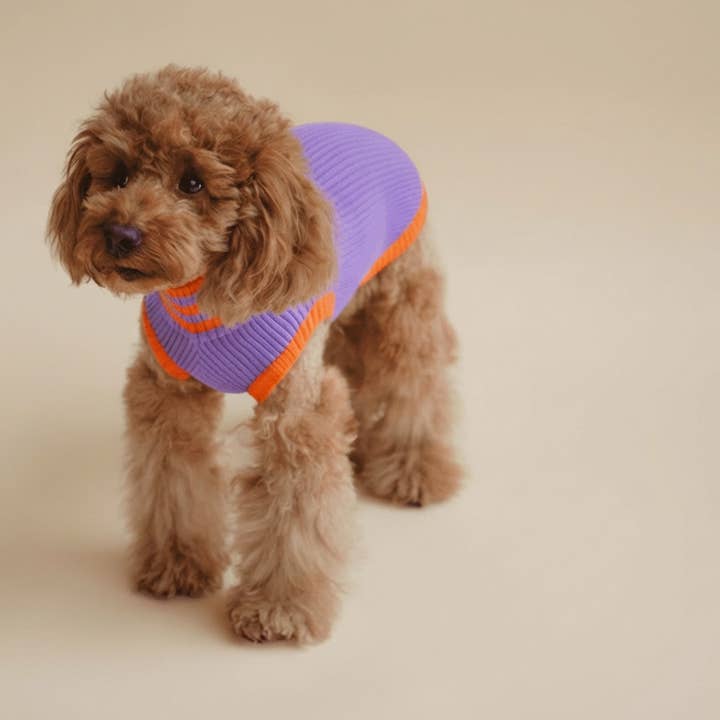 THE GLOW JUMPER 2.0 - Neon Hundesweater - (Poppy Lavender) for engroshandel hos lumiies - high visibility