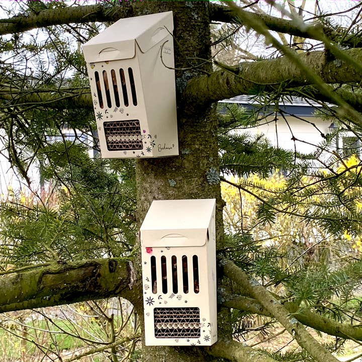 BLOOM your message – Großhandel Bastelset – DIY Air Bee 'n Bee, baue dein eigenes Insektenhotel3