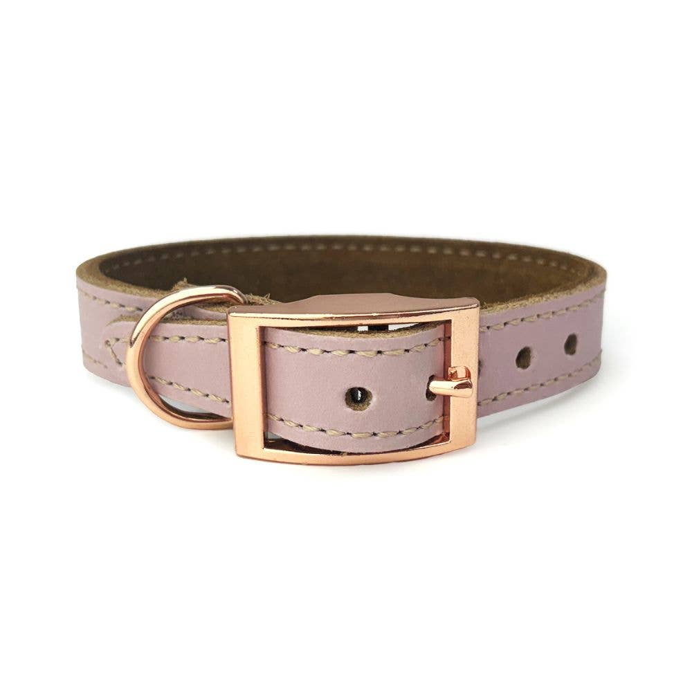 HugglePets - Wholesale Pet Collar - Dog - HugglePets Skye & Murphy Padded Leather Dog Collar1