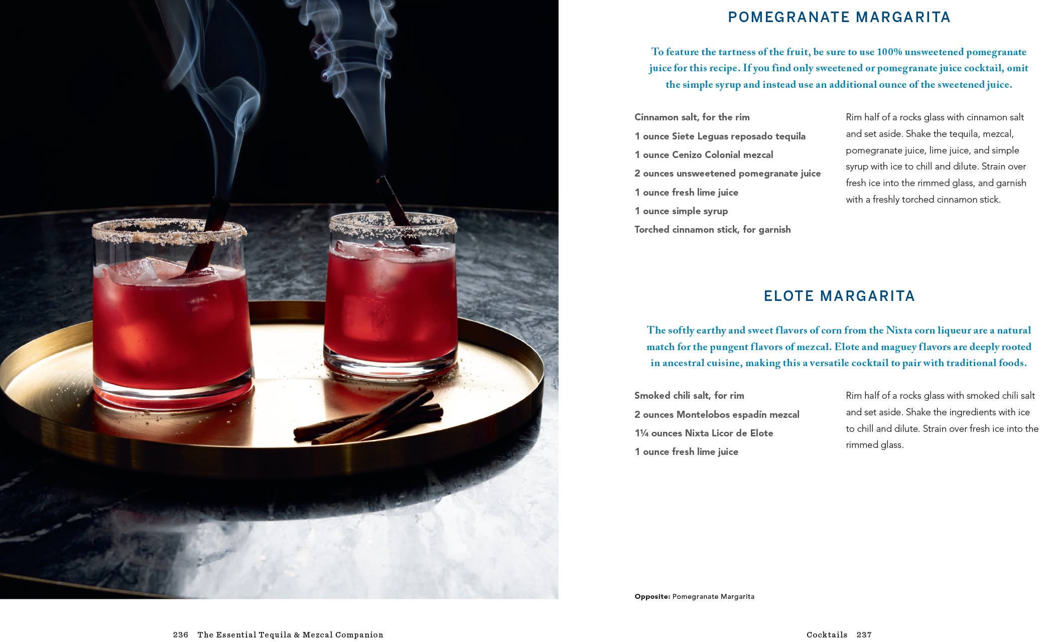 Hachette Book Group - Wholesale Mixology & Beverage - Essential Tequila & Mezcal Companion Cocktail Book8