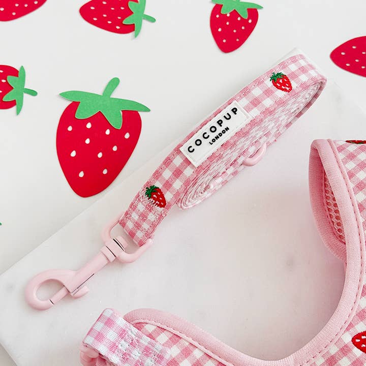 Strawberry Picnic Pup Lead for wholesale by Cocopup London
