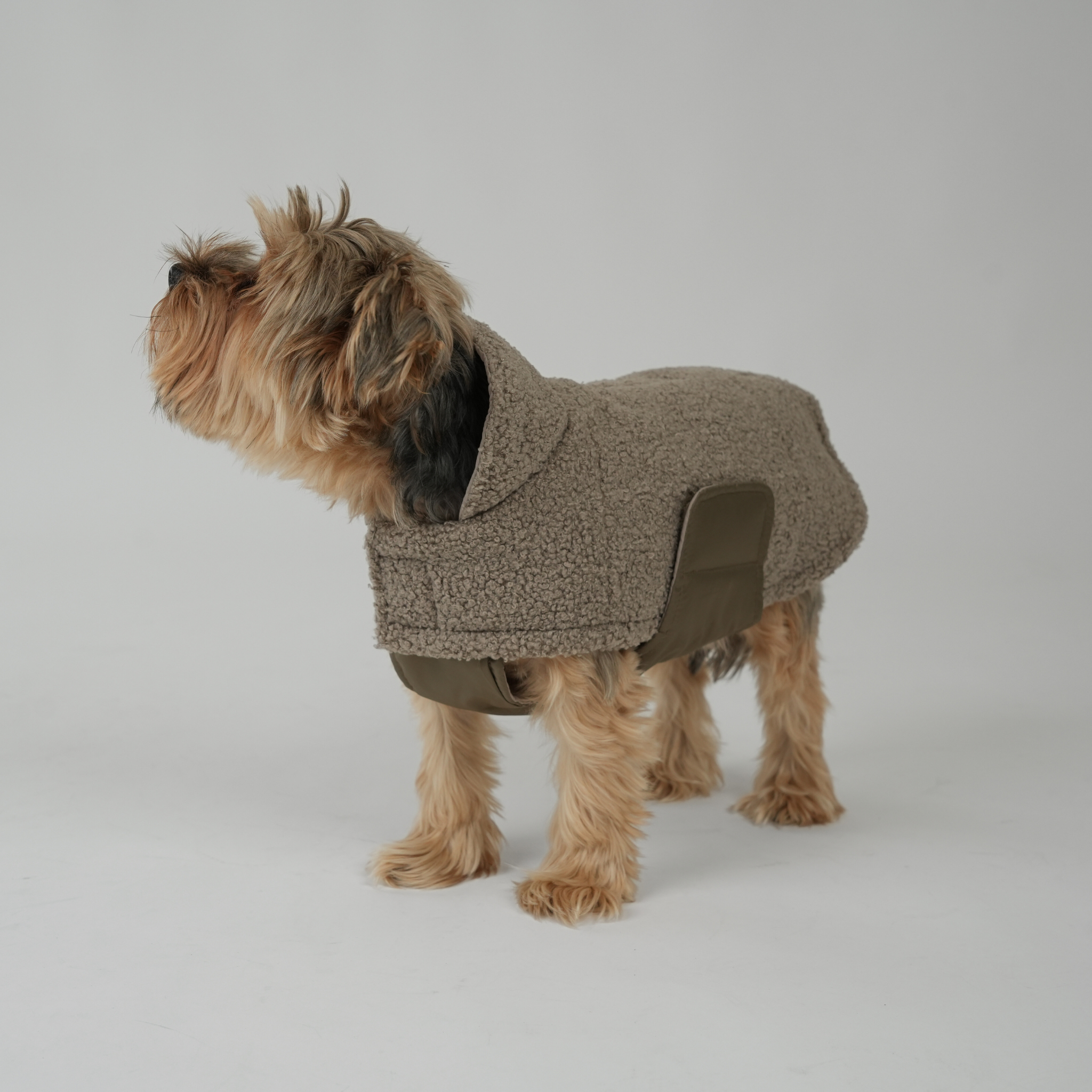 Staey – wholesale Hundjacka - Hund – Hundjacka Teddy | Taupe3