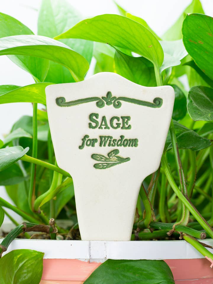 Sage - Garden Lore for wholesale by Amaranth Stoneware Ltd
