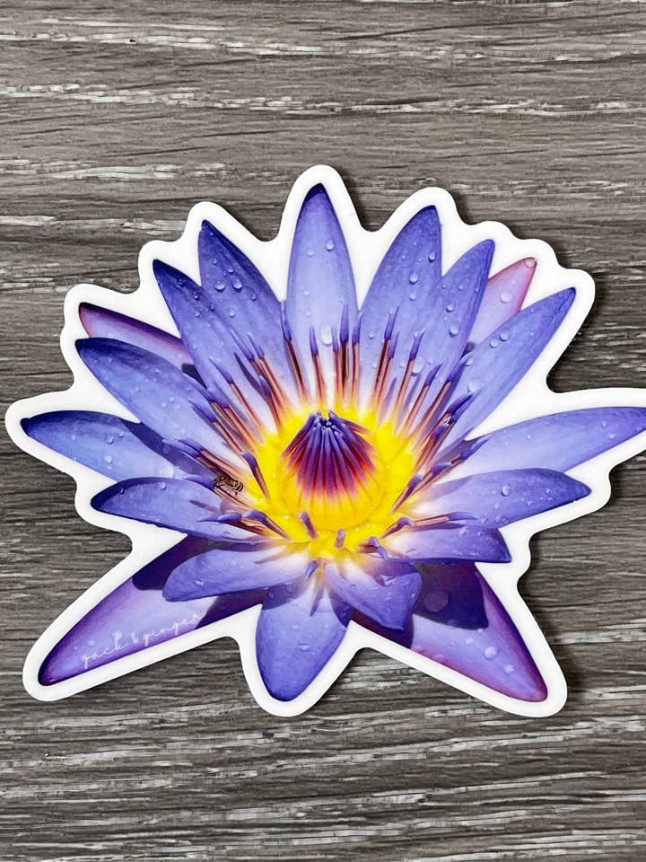 Purple Waterlily Sticker 3x3" for wholesale by jack & ginger