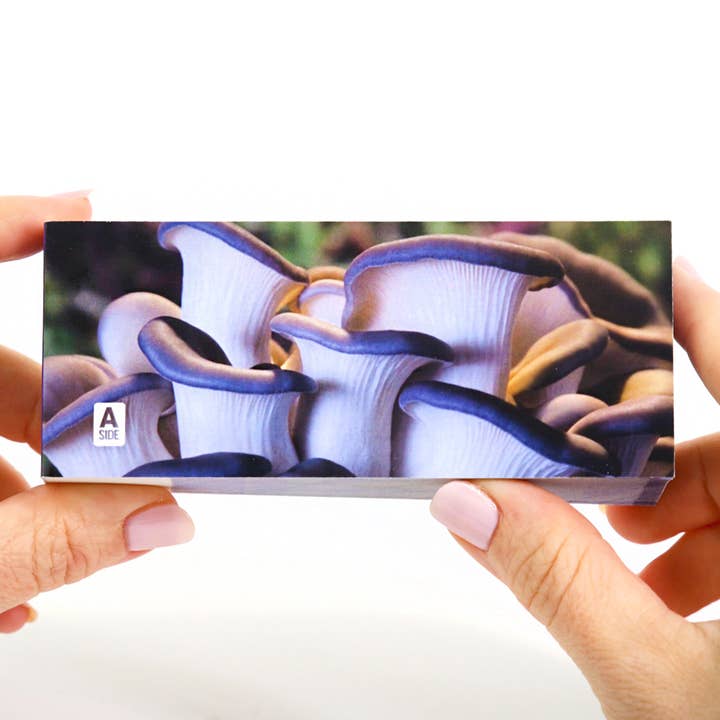 Flipboku – wholesale Visningsbok – Motion in Nature – interaktiv konstbok i set6