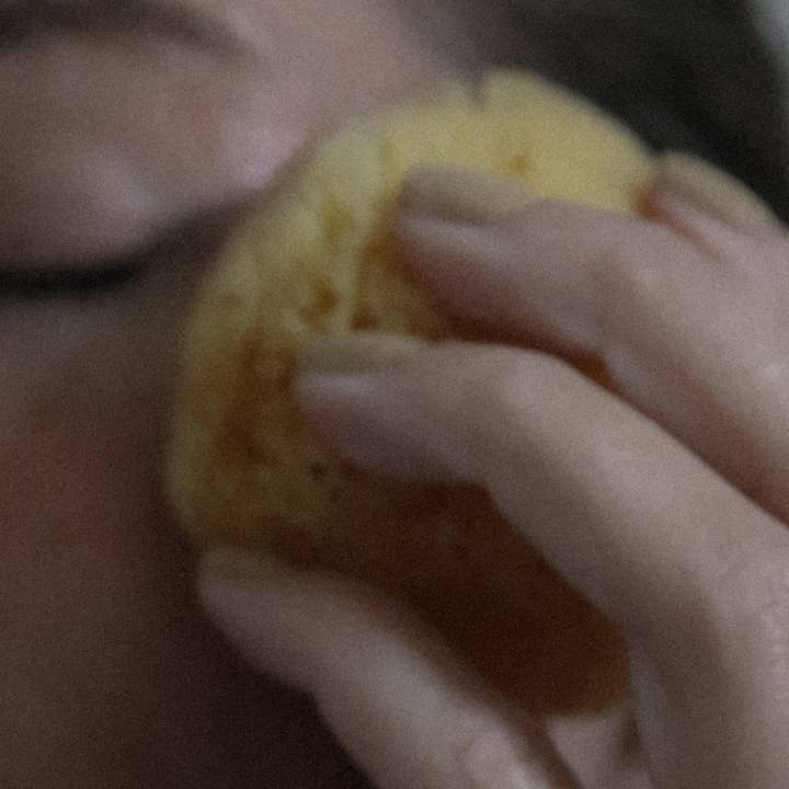 Sea Sponge - liten 5-7,5 cm för wholesale av Well Kept