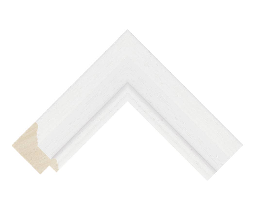 Stacey Moore Ltd - Wholesale Art Print - Dragonfly5