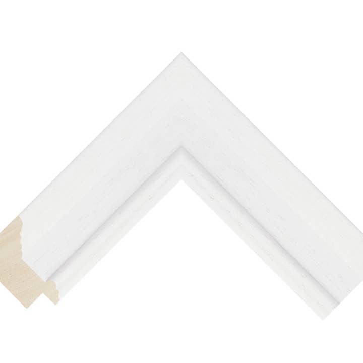 Stacey Moore Ltd - Wholesale Art Print - Dragonfly5