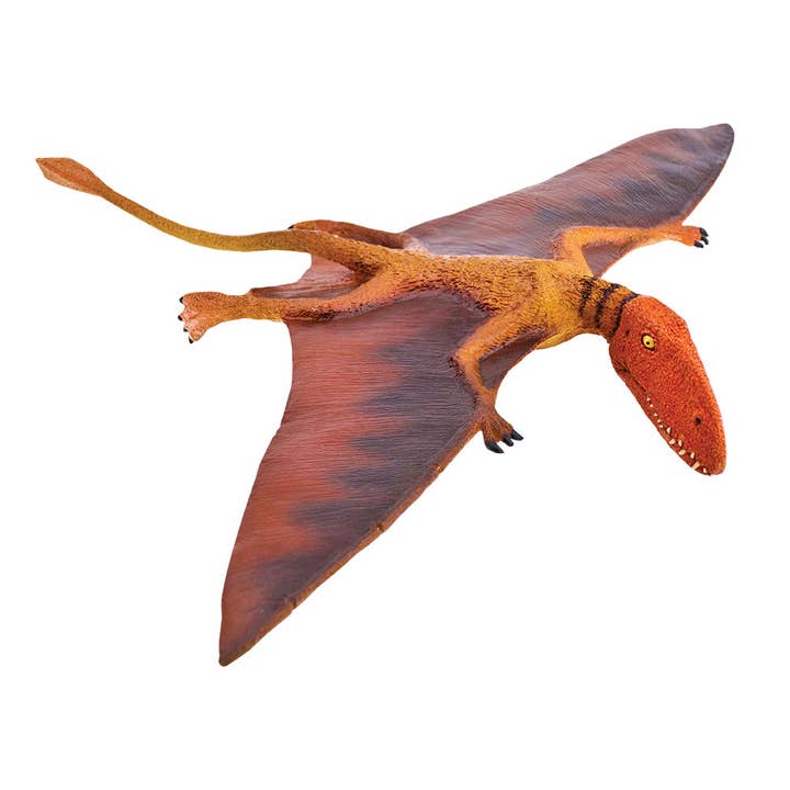 Safari Ltd. - Wholesale Figurine Toy - Kids - Dimorphodon - 304729