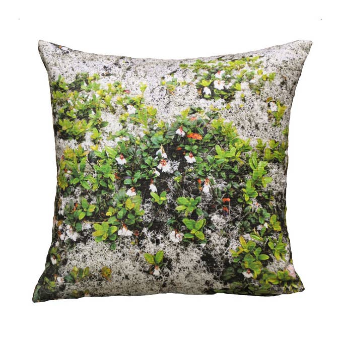 71048517 Pudebetræk Nordic Nature 50x50 grå mos/tyttebær for engroshandel hos Etol