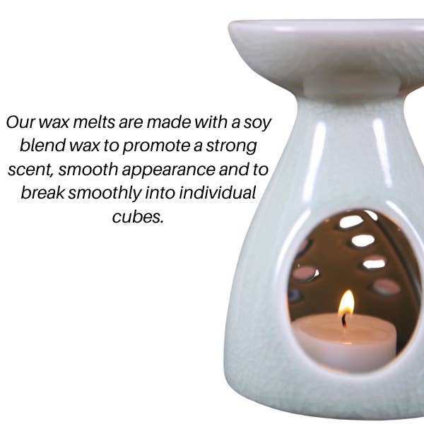 S of S Candles llc - Wholesale Wax melt - Strawberry Cheesecake | Bakery Scent | Wax Melts | 3oz2