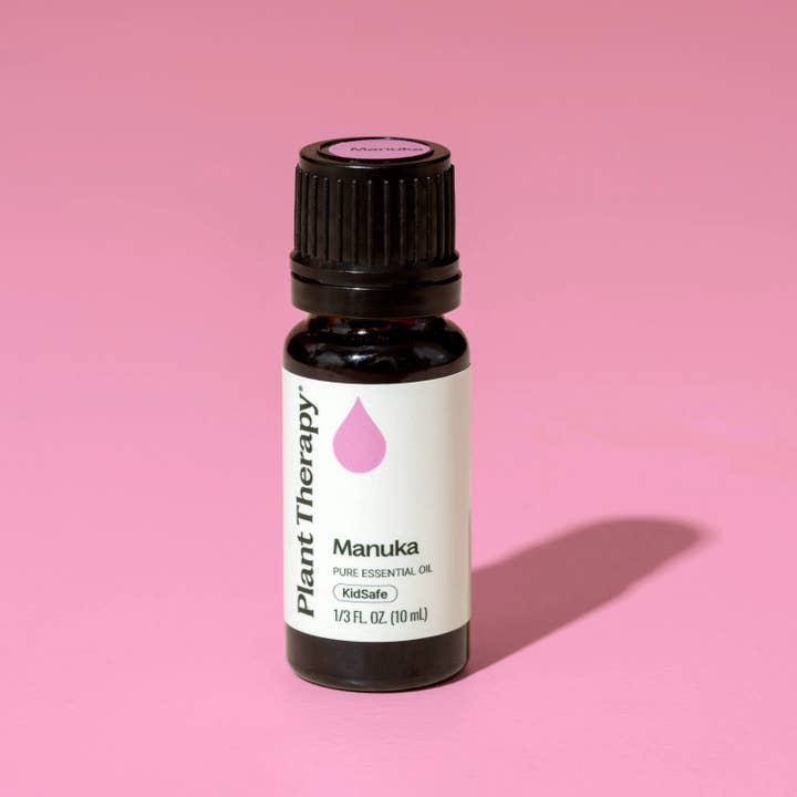 Plant Therapy - Venta al por mayor Aceite esencial - Aceite esencial de manuka 10 ml