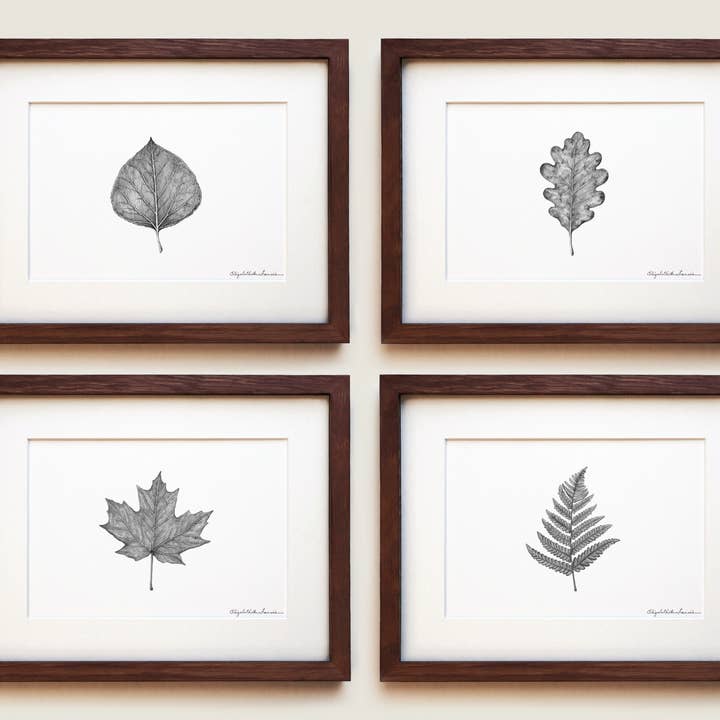 Leaves Collection | Fine Art Print Set for wholesale by ElizabethAnnFrancis