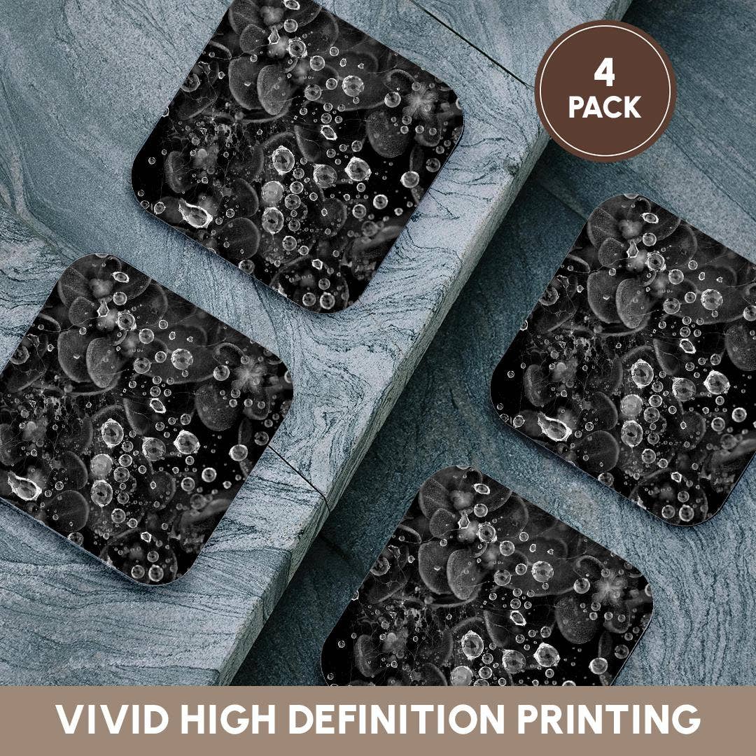 3dRose - Vente Sous-verre - 3dRose, Photographie macro en noir et blanc de gouttes de pluie sur une toile d'araignée., Dessous de verre12