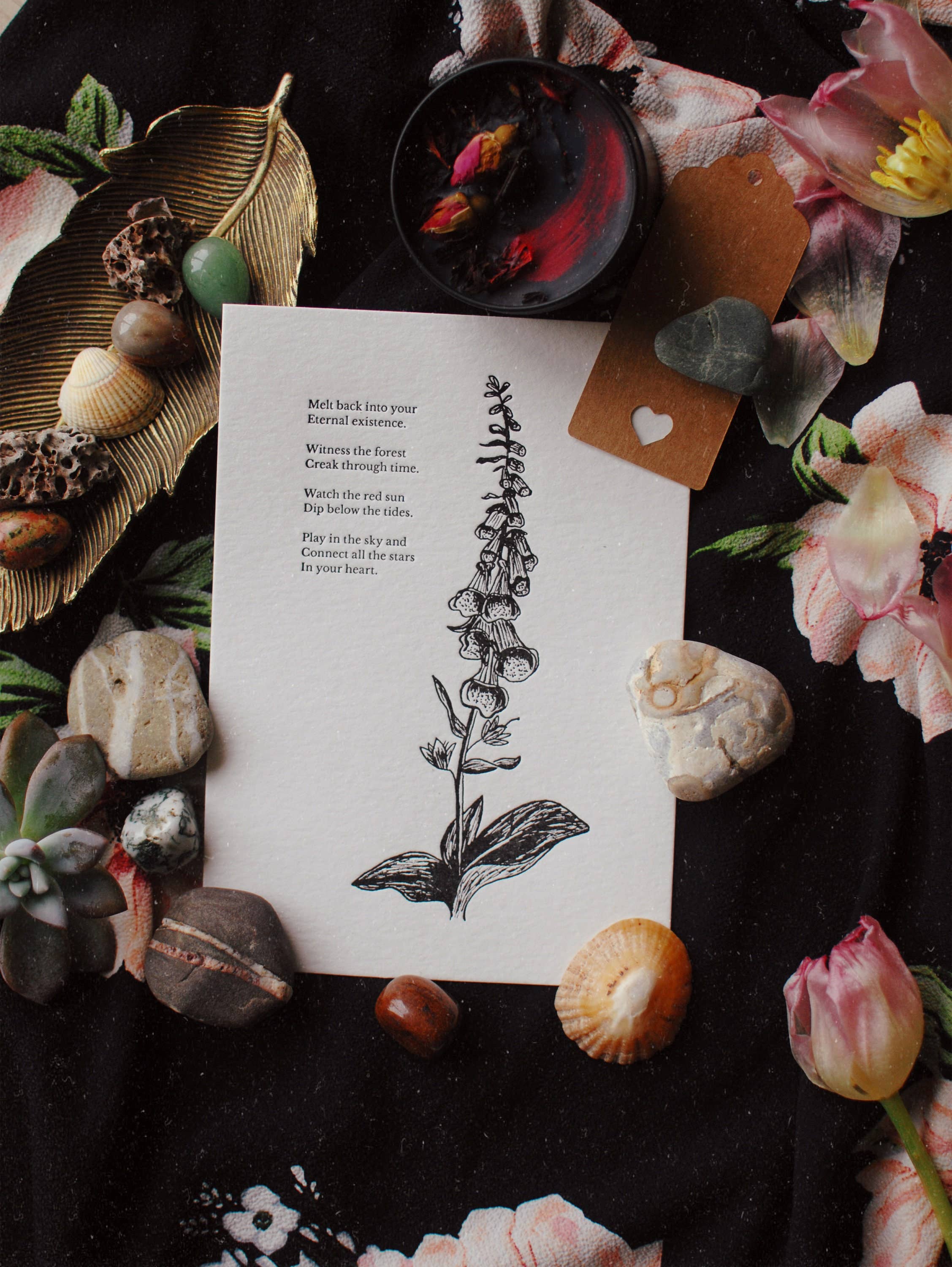 Velvetback - Wholesale Art Print - Foxglove 5" x 7" Botanical Letterpress Print4