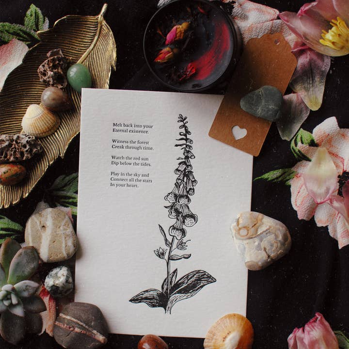 Velvetback - Wholesale Art Print - Foxglove 5" x 7" Botanical Letterpress Print4