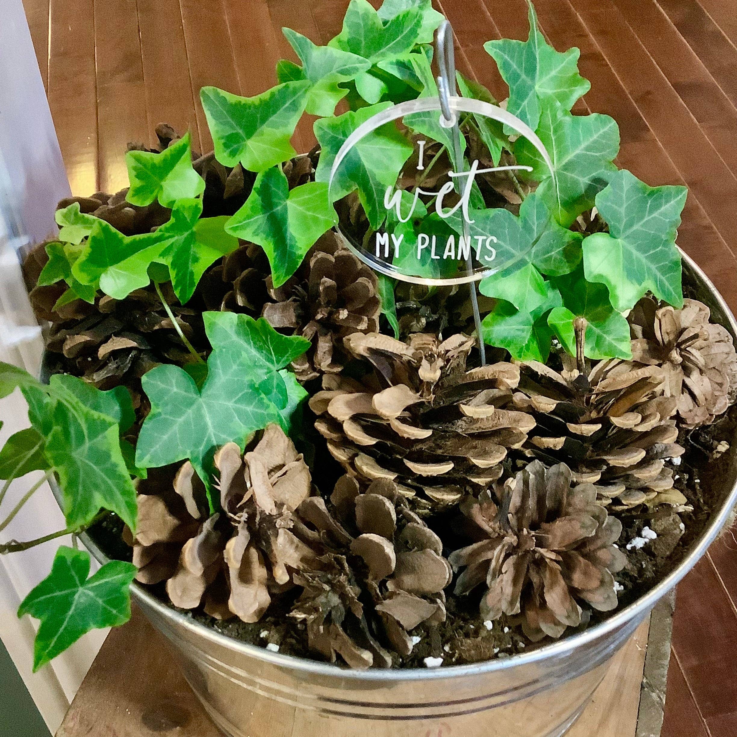 Crawford Custom Engraving - Wholesale Garden/Lawn Stake - Plant and Garden Markers, Plant Puns, Funny Plant Markers5