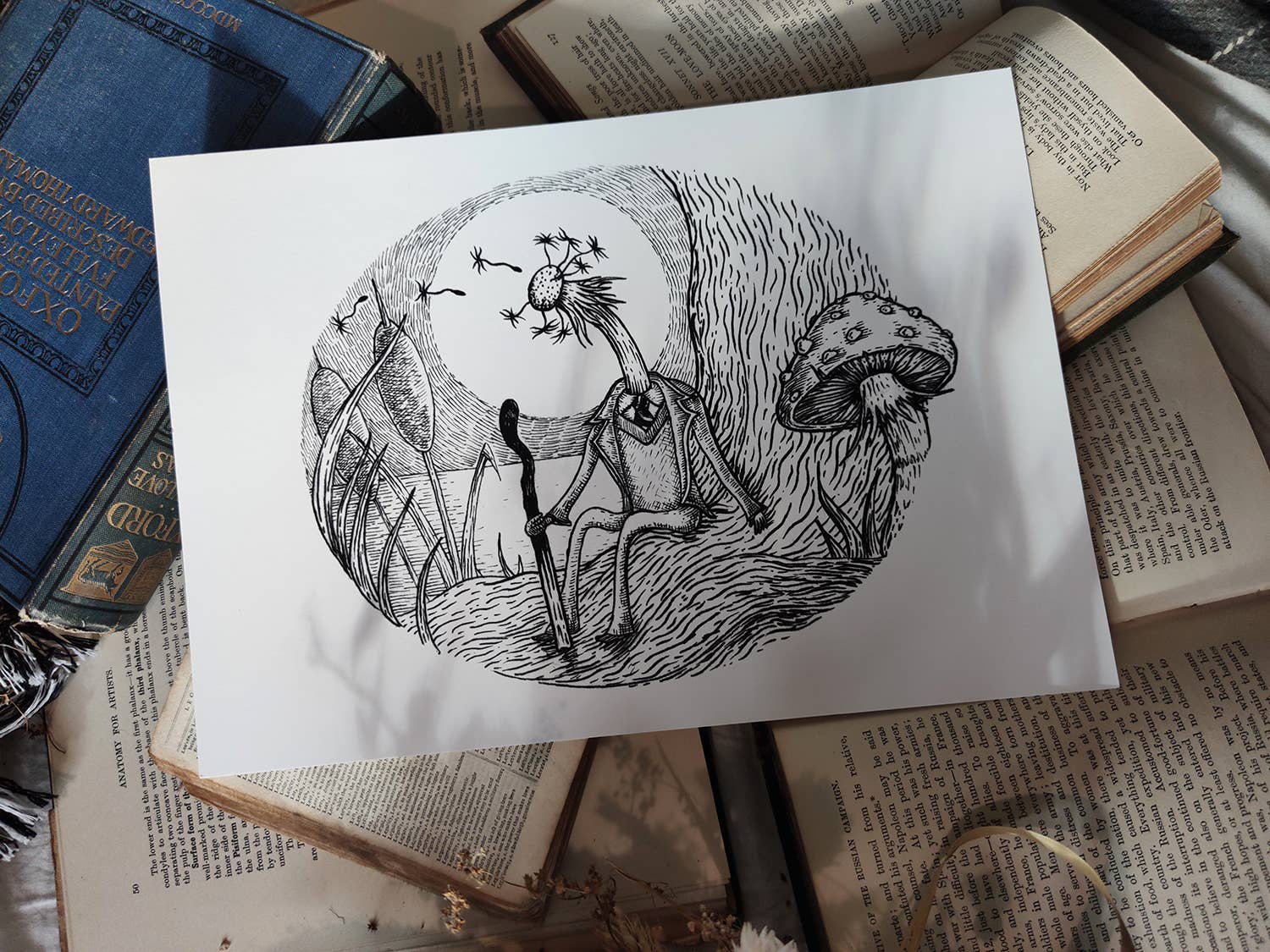 Jon Turner Illustration – wholesale Art print – Melancholy Mandelion art print2