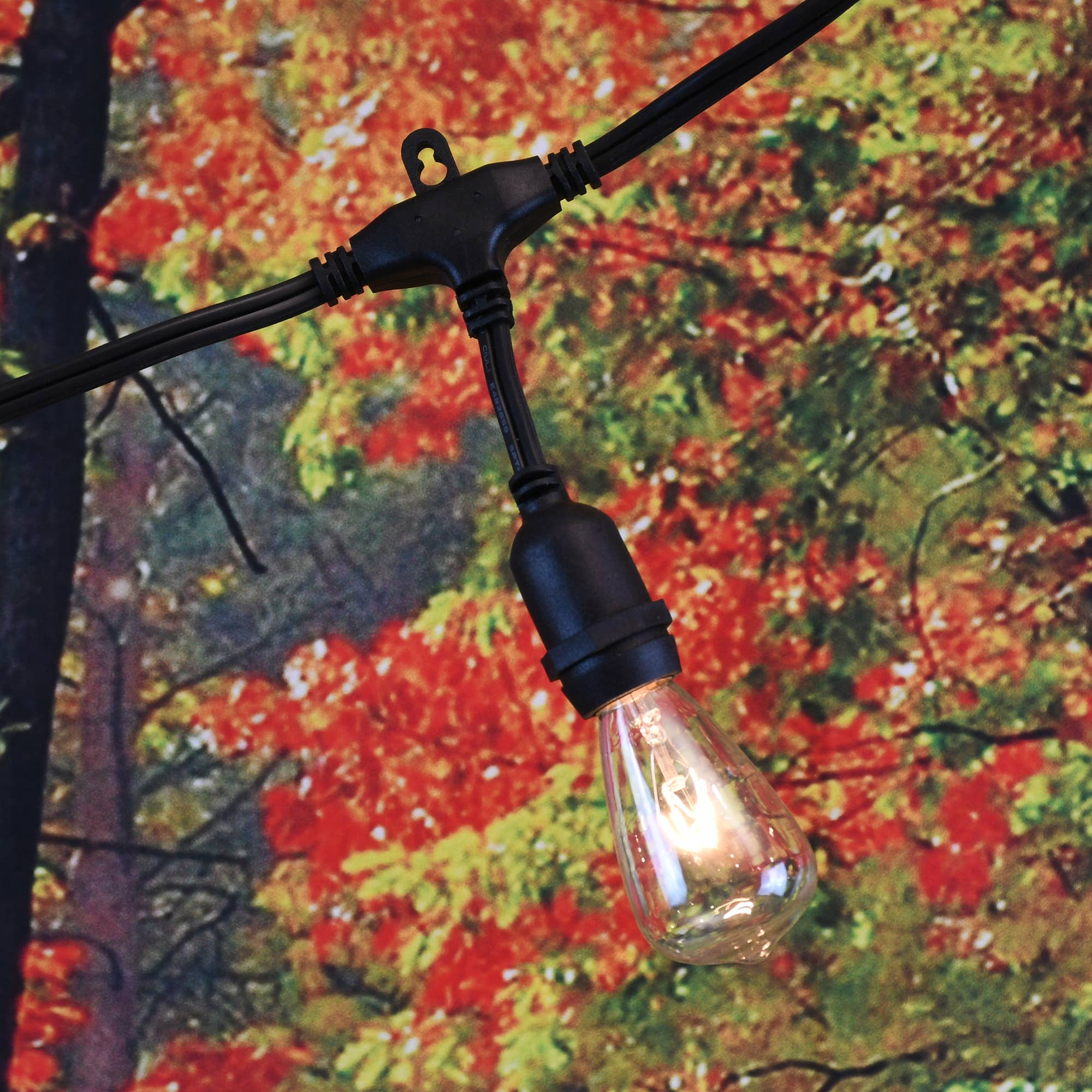 LumaBase - Wholesale String Lights - Electric Commercial Grade String Lights with 12 Edison Bulbs3