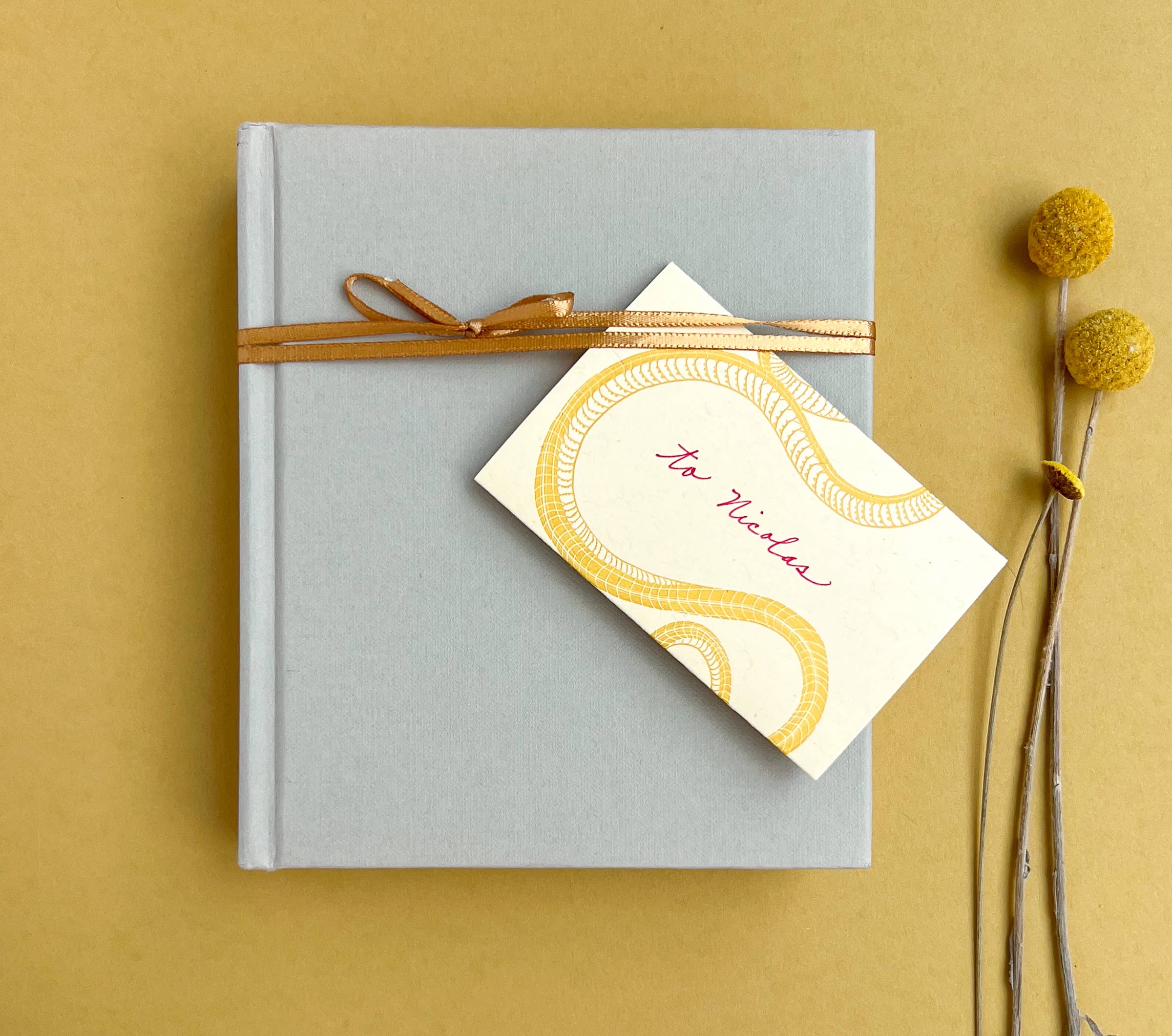 Blackbird Letterpress - Wholesale Everyday Greeting Card - snake yellow gold mini card2