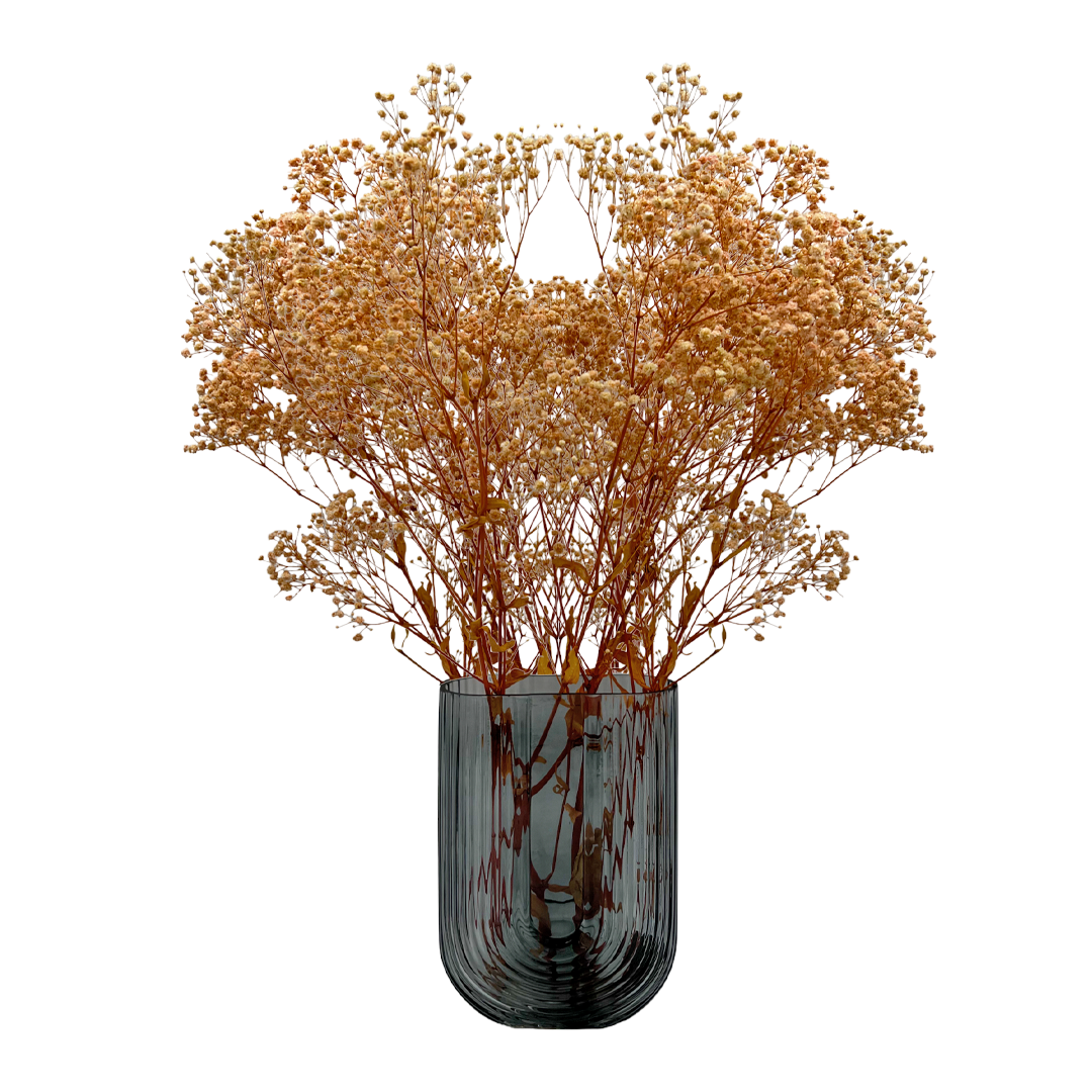 2626 Designs - Wholesale Dried/Pressed Flowers - Preserved Gypsophila, Baby's Breath,24" long11