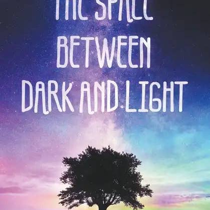 Books by splitShops - Wholesale Science Fiction - The Space Between Dark and Light - Paperback