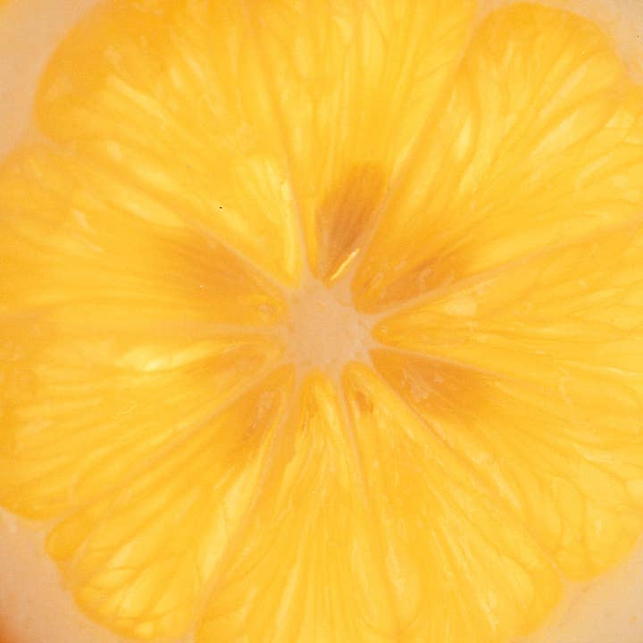 Marmalade Grove - Wholesale Jam/Jelly - Meyer Lemon & Honey Marmalade