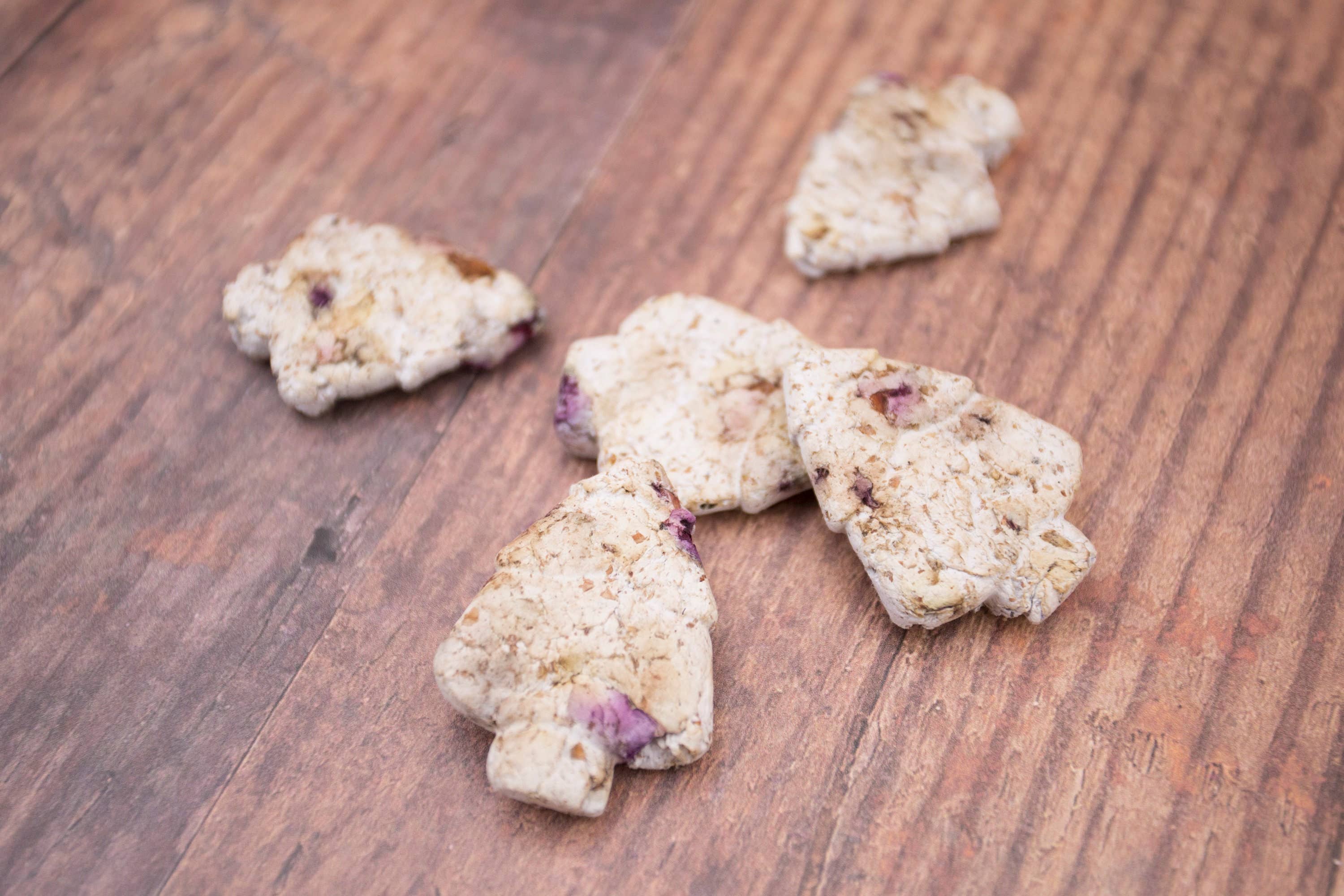 Katy and the Bear - Wholesale Zaadjes voor platten - Plastic gratis leraar cadeau zaadbom en plantbare kaart2