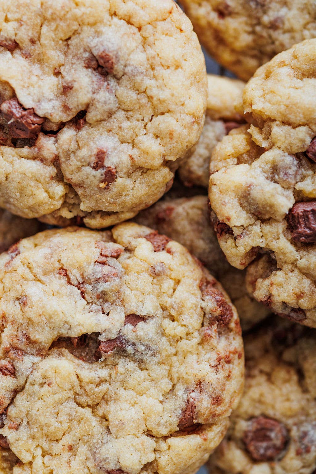 Lehi Mills - Wholesale Cookie Mix - Chocolate Chip Cookie Mix4