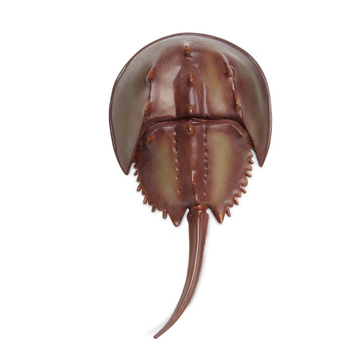 Safari Ltd. - Wholesale Figurine Toy - Kids - Horseshoe Crab - 2614292