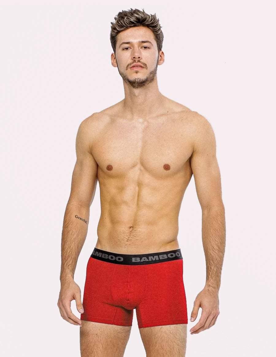Bamboo Underwear - Wholesale Underwear - Men's - Men's Boxer 4"20