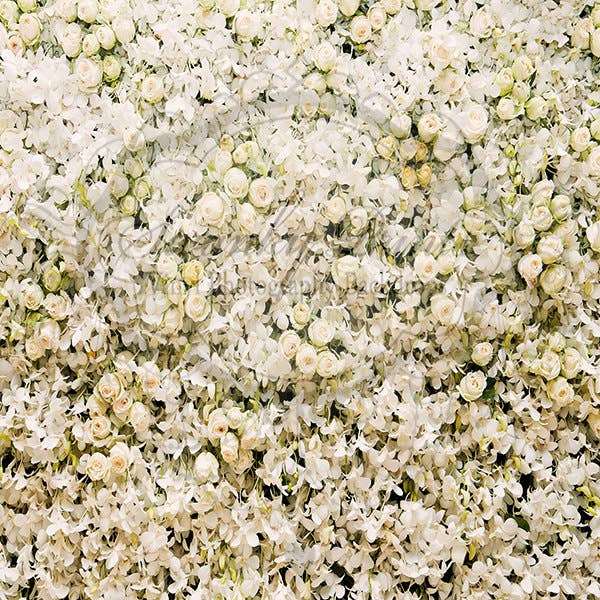 4ft x 4ft Vinyl Photography Backdrop / White Cream Floral for wholesale by Swanky Prints