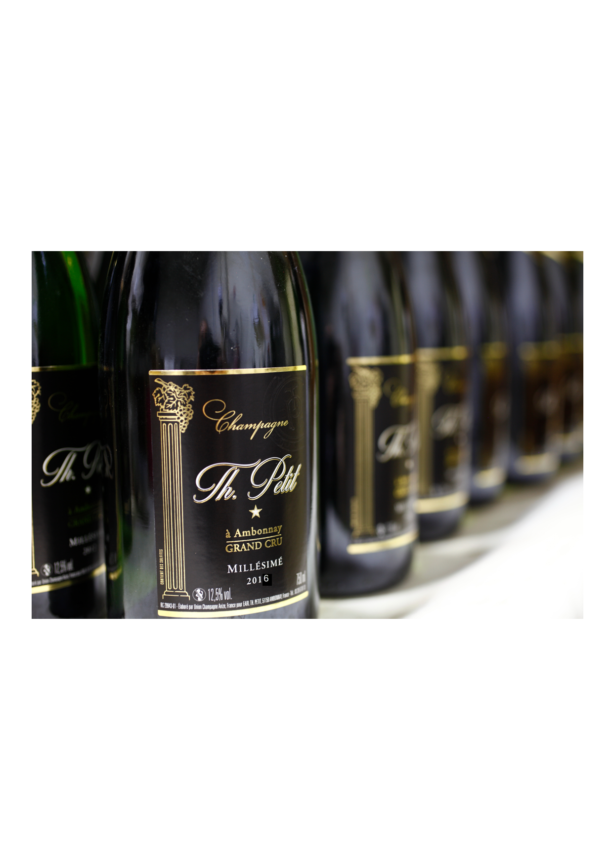 Champagne Th. Petit - Wholesale Champagne/Sparkling Wine - Champagne Grand Cru Vintage 2016 Brut1