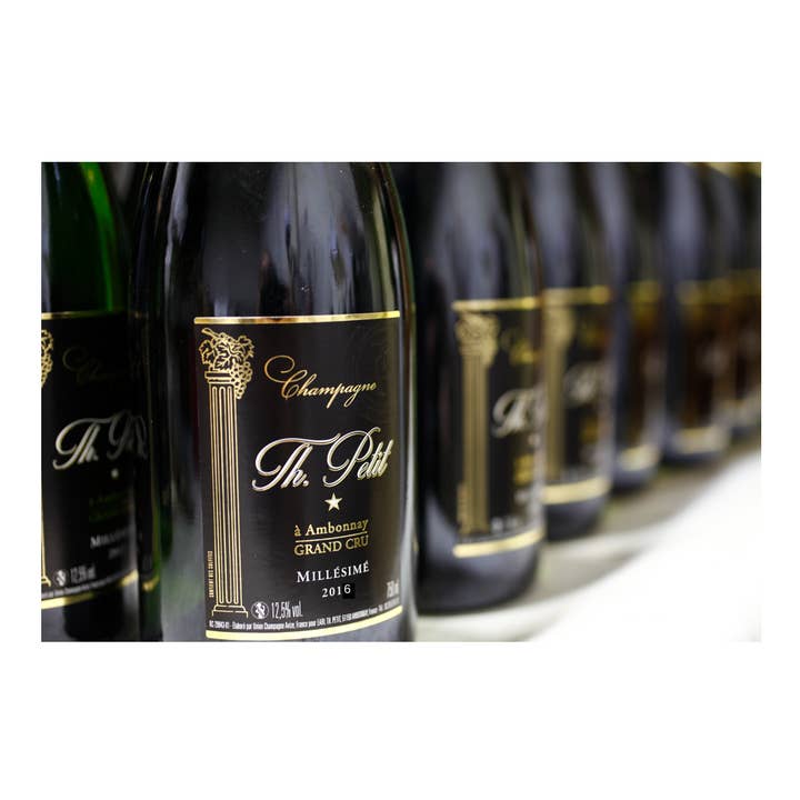 Champagne Th. Petit - Wholesale Champagne/Sparkling Wine - Champagne Grand Cru Vintage 2016 Brut1