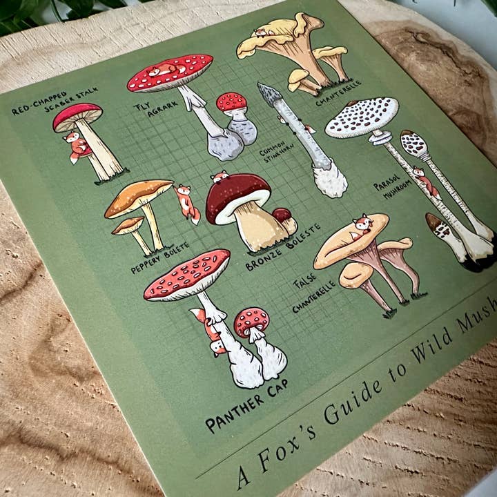 Magic&Books - Wholesale Postcard - A Fox's Guide to Wild Mushrooms Postcard1