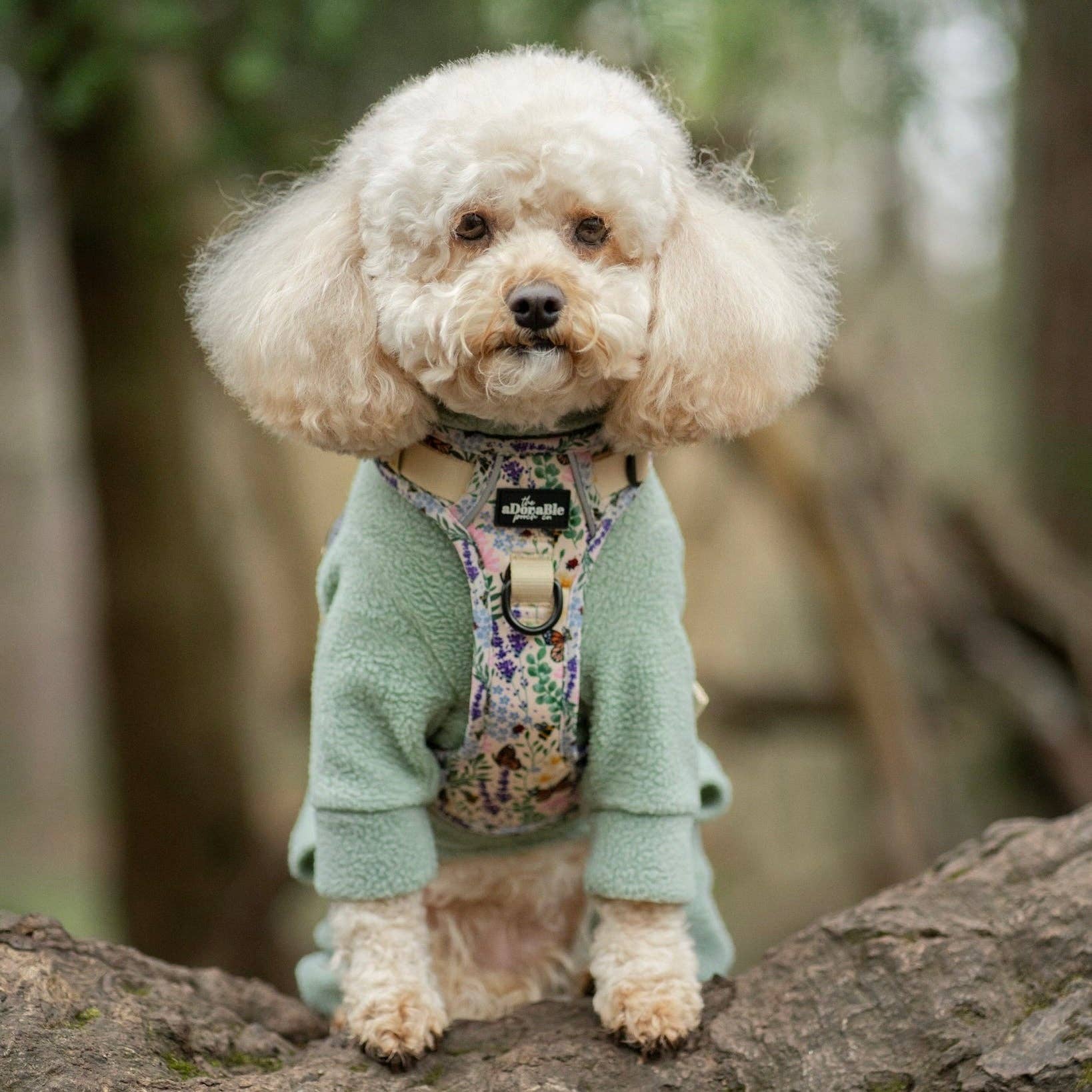 The aDoraBle Pooch Company – Arnês – Cão por atacado – Arnês Hike & Go Lite™ - Bumbles & Butterflies3