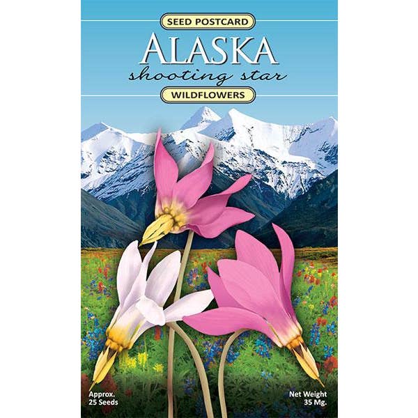 Created By Nature - Wholesale Plant Seeds - Alaska Shooting Star Wildflower Seed Packet