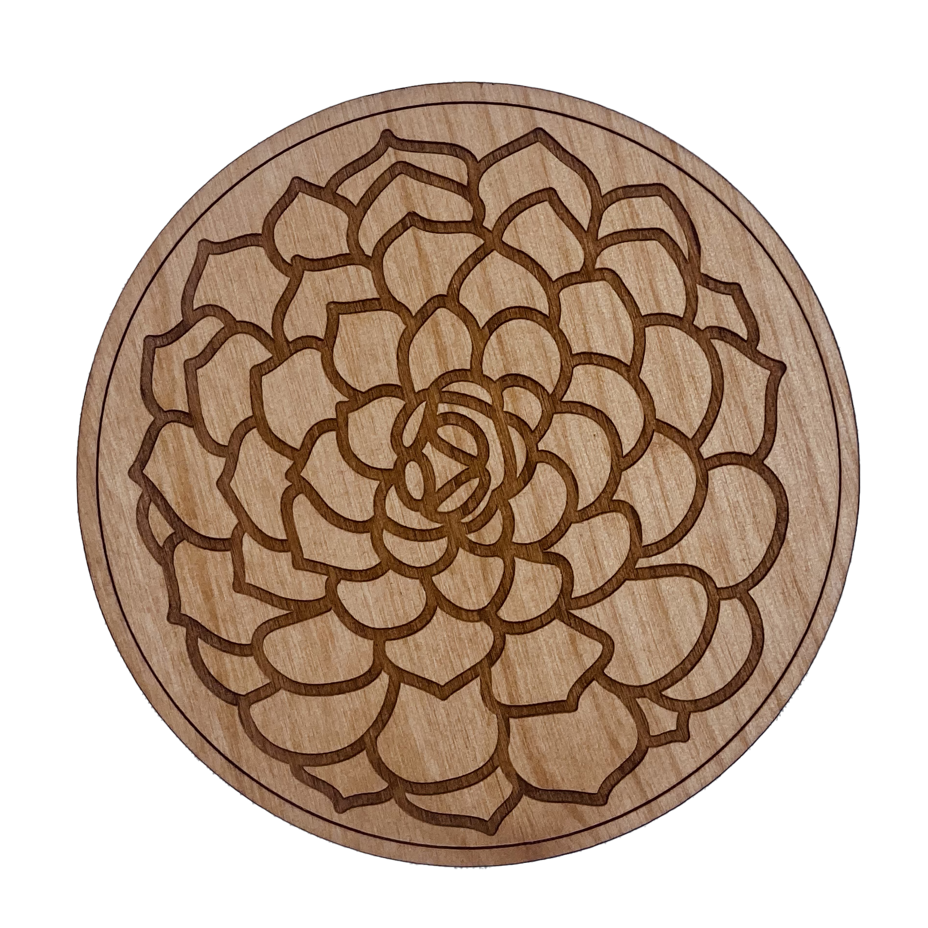 Woodcutts Inc. - Wholesale Coasters - Succulent Wood Coaster0
