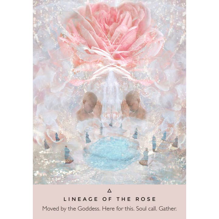 Cardshouse - Wholesale Tarot Cards - Rose Oracle Cards Hay House4