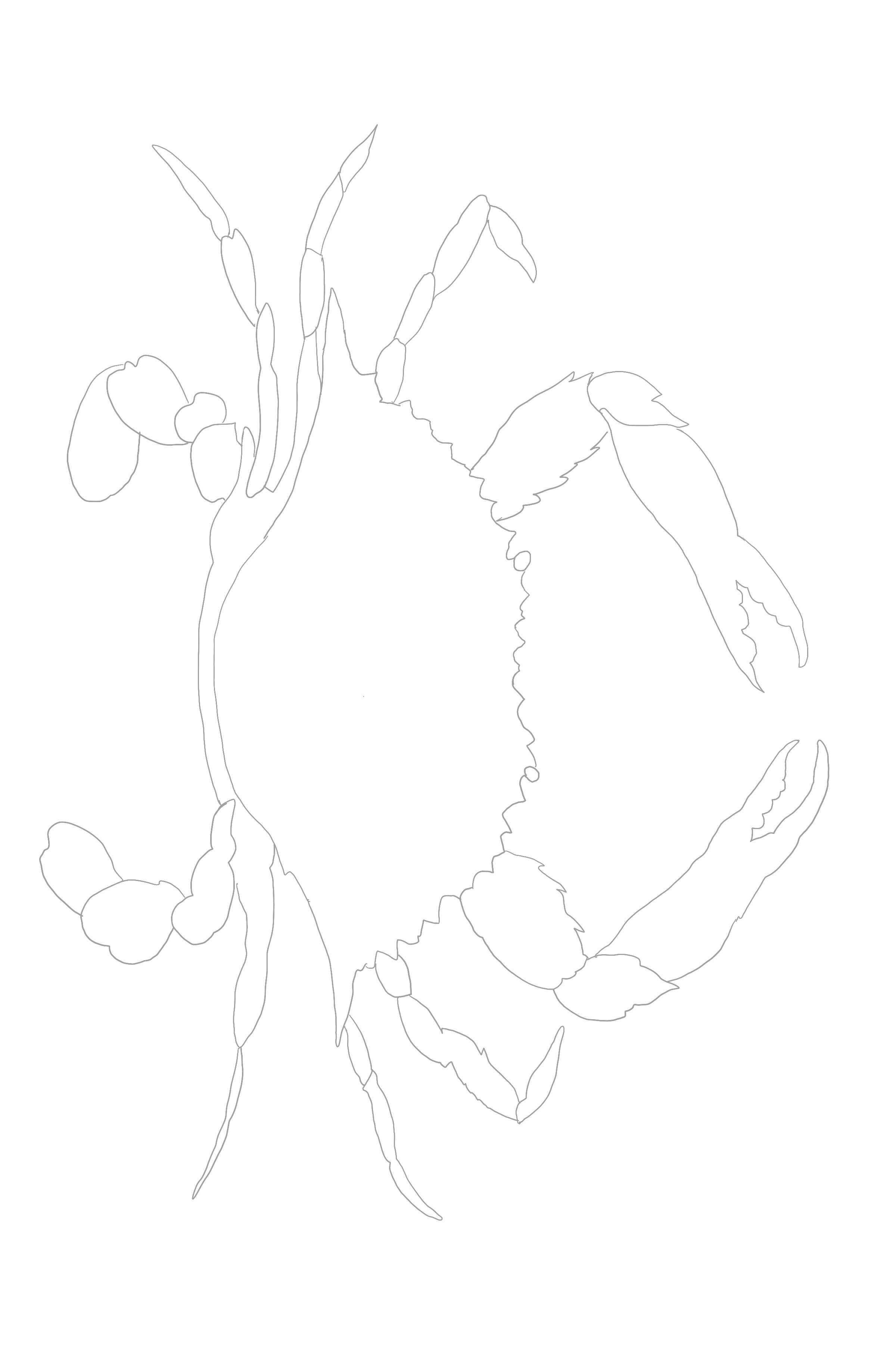 Melissa Hyatt - Wholesale DIY Craft Kit - Watercolor Art Kit- Blue Claw Crab3