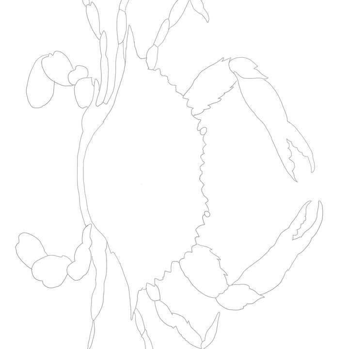 Melissa Hyatt - Wholesale DIY Craft Kit - Watercolor Art Kit- Blue Claw Crab3