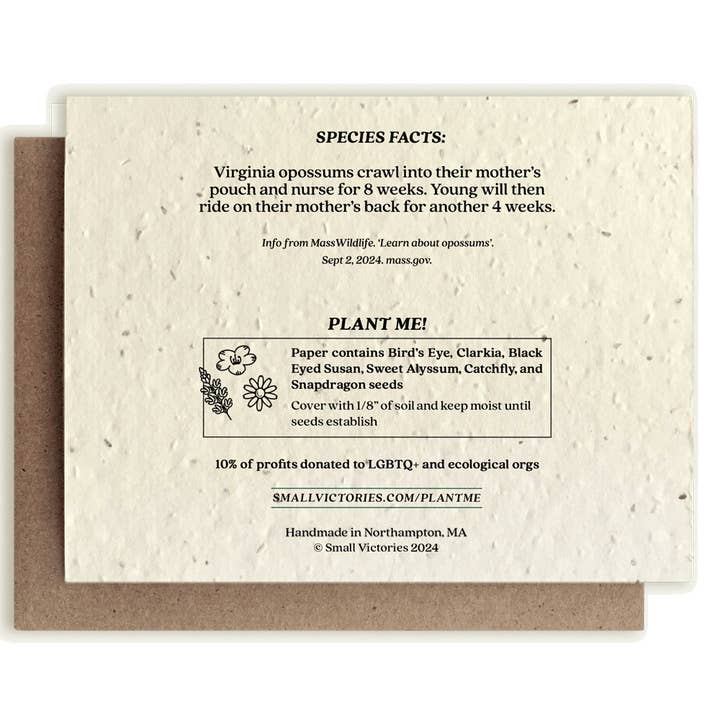Small Victories - Wholesale Christmas Card - Opossum Stockings Plantable Wildflower Seed Card1