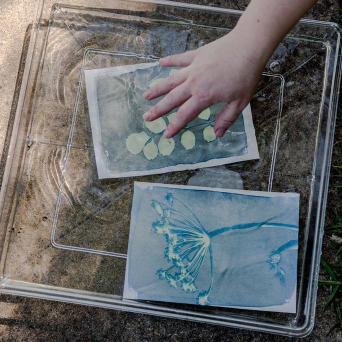 My Little Print Studio - Wholesale DIY Craft Kit - Cyanotype Printing Kit